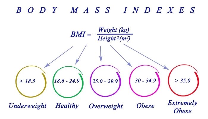 BMI chart for women