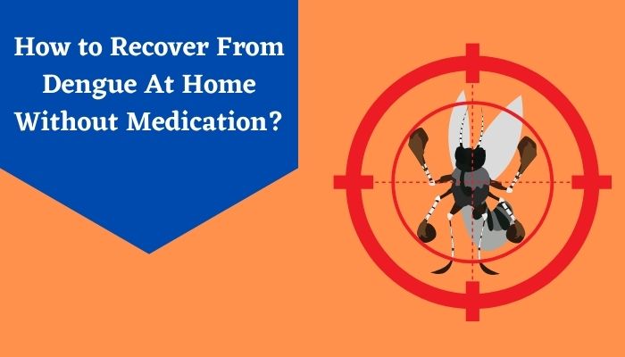 How to Recover From Dengue At Home Without Medication