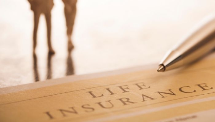 Types of whole life insurance policy