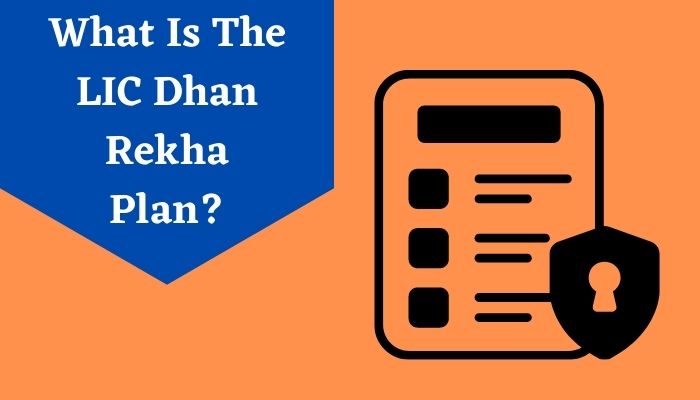 What Is The LIC Dhan Rekha Plan