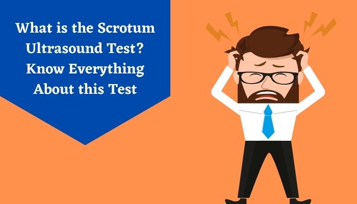 What is the Scrotum Ultrasound Test Know Everything About this Test